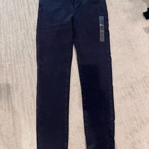 American Eagle Outfitters Navy Stretch Pants